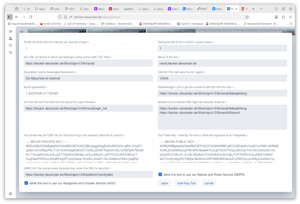 example for a tool description